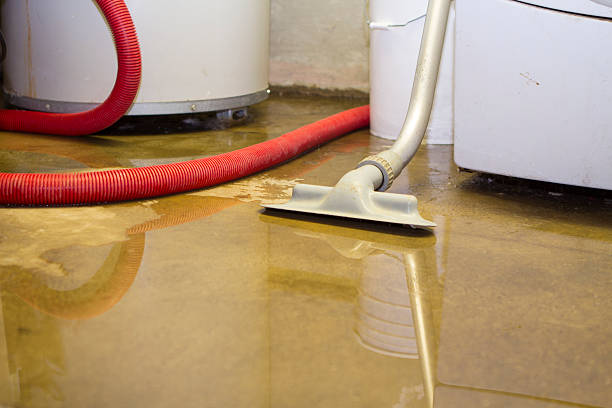 Best Emergency water damage restoration  in Assumption, IL