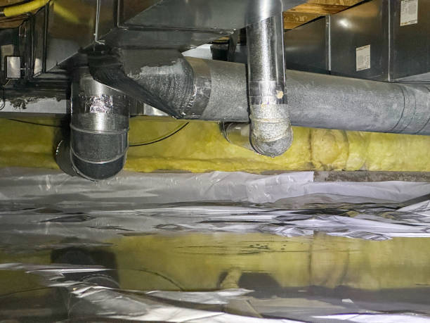 Best Basement water damage restoration  in Assumption, IL