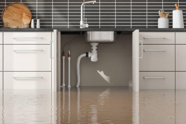 Best Mold removal after water damage  in Assumption, IL