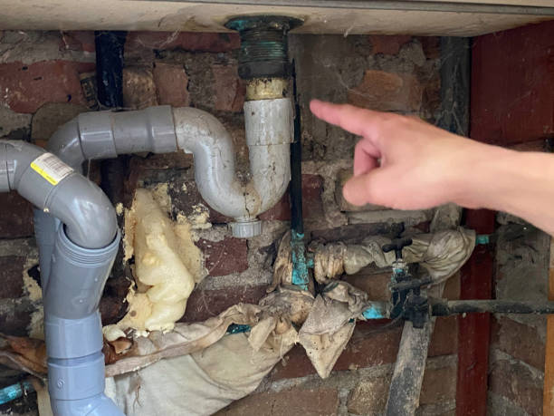 Best Fire Damage Restoration  in Assumption, IL