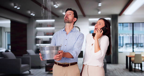 Best Sewage cleanup and water damage restoration  in Assumption, IL