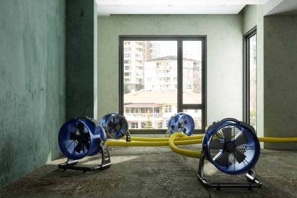Best Ceiling water damage repair  in Assumption, IL
